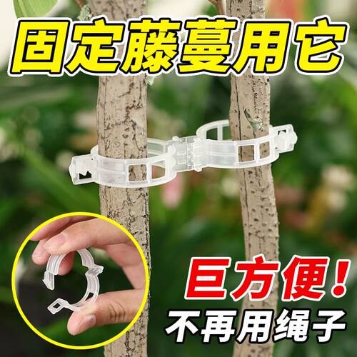 绿植果树植物固定夹卡扣藤蔓固定器秧苗爬藤支撑杆果蔬秧苗吊秧夹