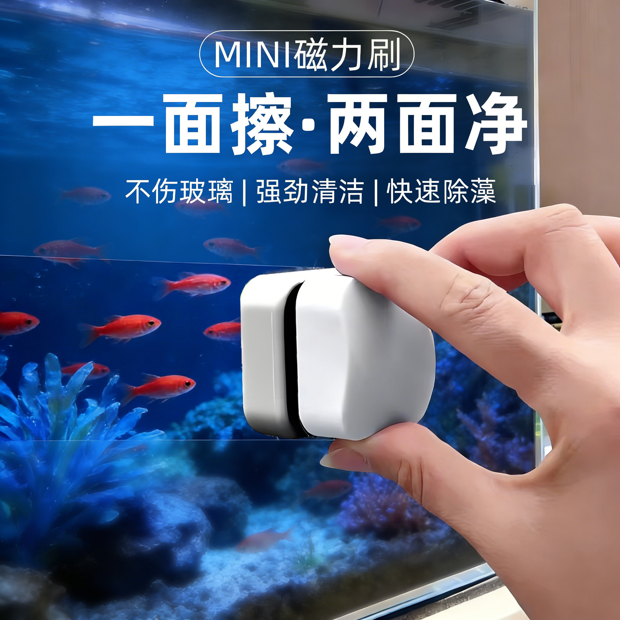 桌面鱼缸磁力清洁刷超强无死角清理内壁青苔刮藻水垢刷擦玻璃神器,宠物/宠物食品及用品,桌面缸,淘宝优惠券,粉丝福利购,淘宝优惠卷