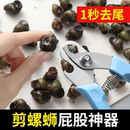 剪螺蛳屁股神器不打滑田螺螺丝省力钳专用剪刀石螺翦田螺去尾神器