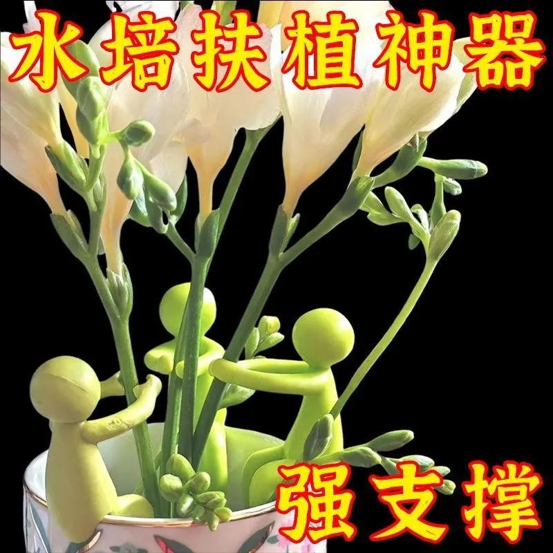 新款水培植物生长伴侣水培器