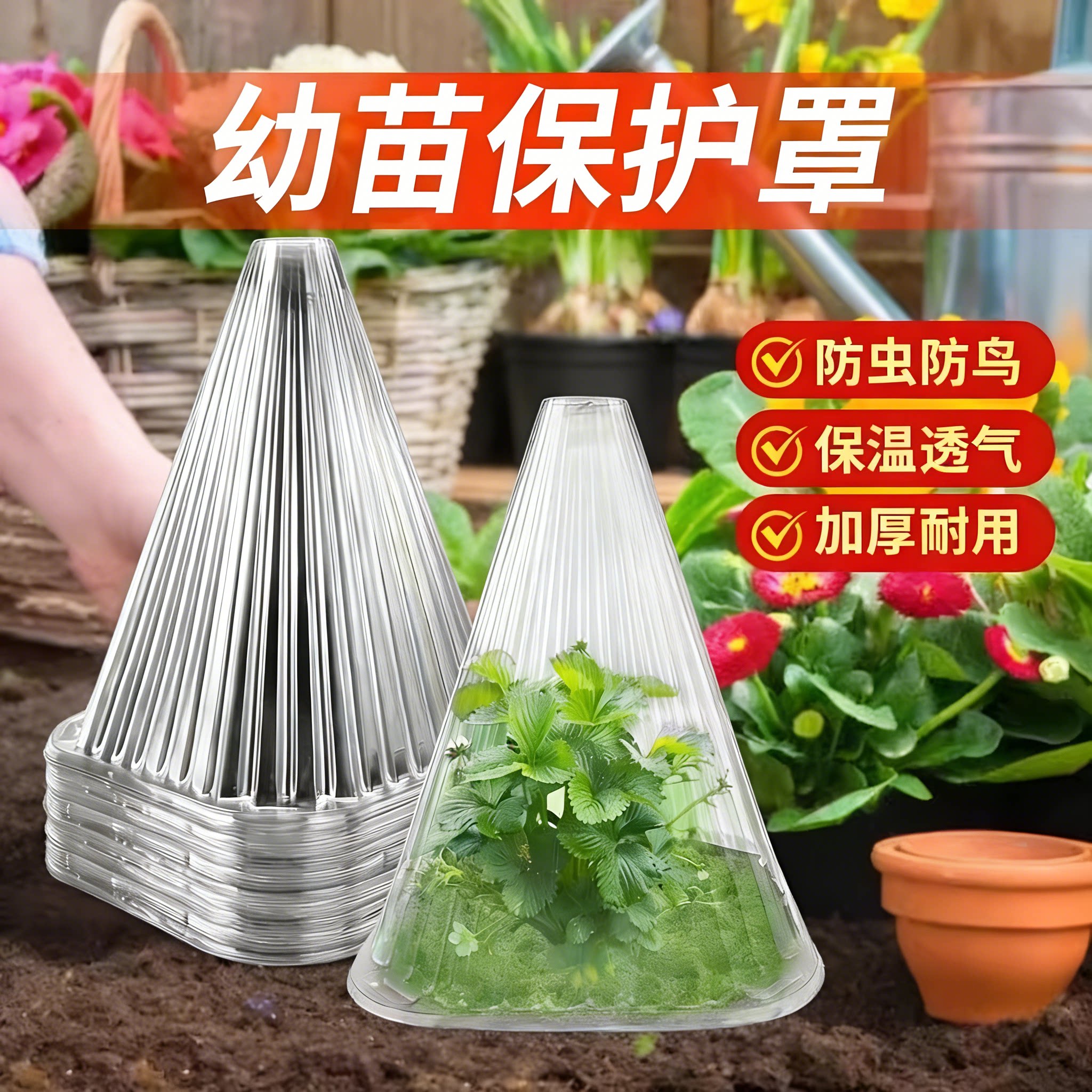 育苗保护罩透气塑料植物罩种菜加厚大号透明蔬菜瓜苗菜苗保温罩