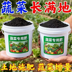 蔬菜肥料营养液专用有机肥家用阳台果蔬瓜果盆栽种菜通用型花肥料