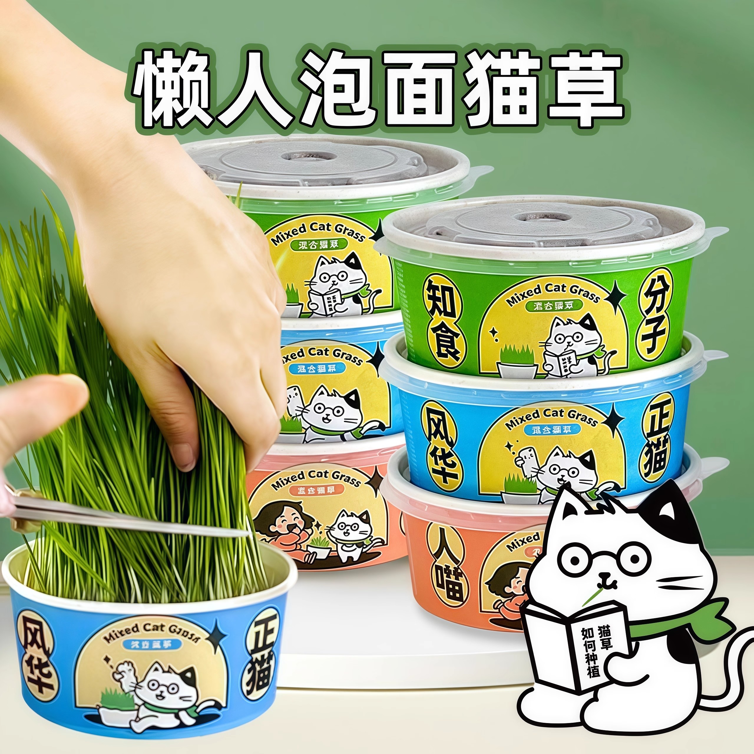 水培无土懒人猫草罐头磨牙去毛球助消化天然小麦零食泡面猫草盆栽