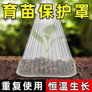 育苗保护罩蔬菜植物罩大棚瓜苗幼苗大号育苗罩秧苗保温防虫塑料罩