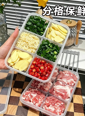 冰箱冻肉分格盒子冷冻食品级收纳盒专用小号保鲜盒分装盒整理神器