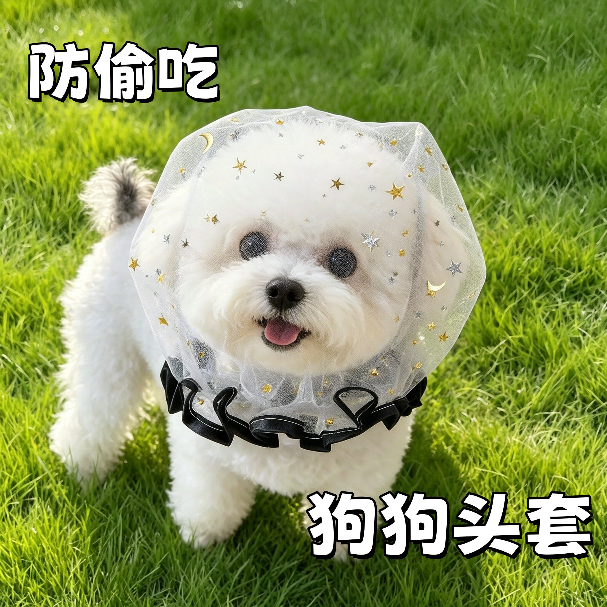 防偷吃乱吃网纱狗狗头套小型犬泰迪比熊防咬防误食面罩防舔嘴套