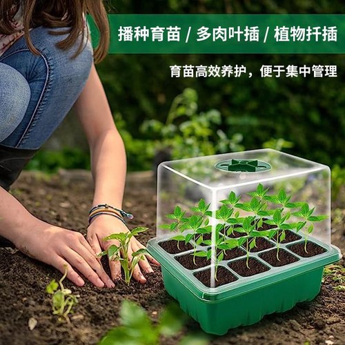 多肉叶插育苗盆三件套培养播种盒保湿温育苗盘12孔塑料育苗盒盖