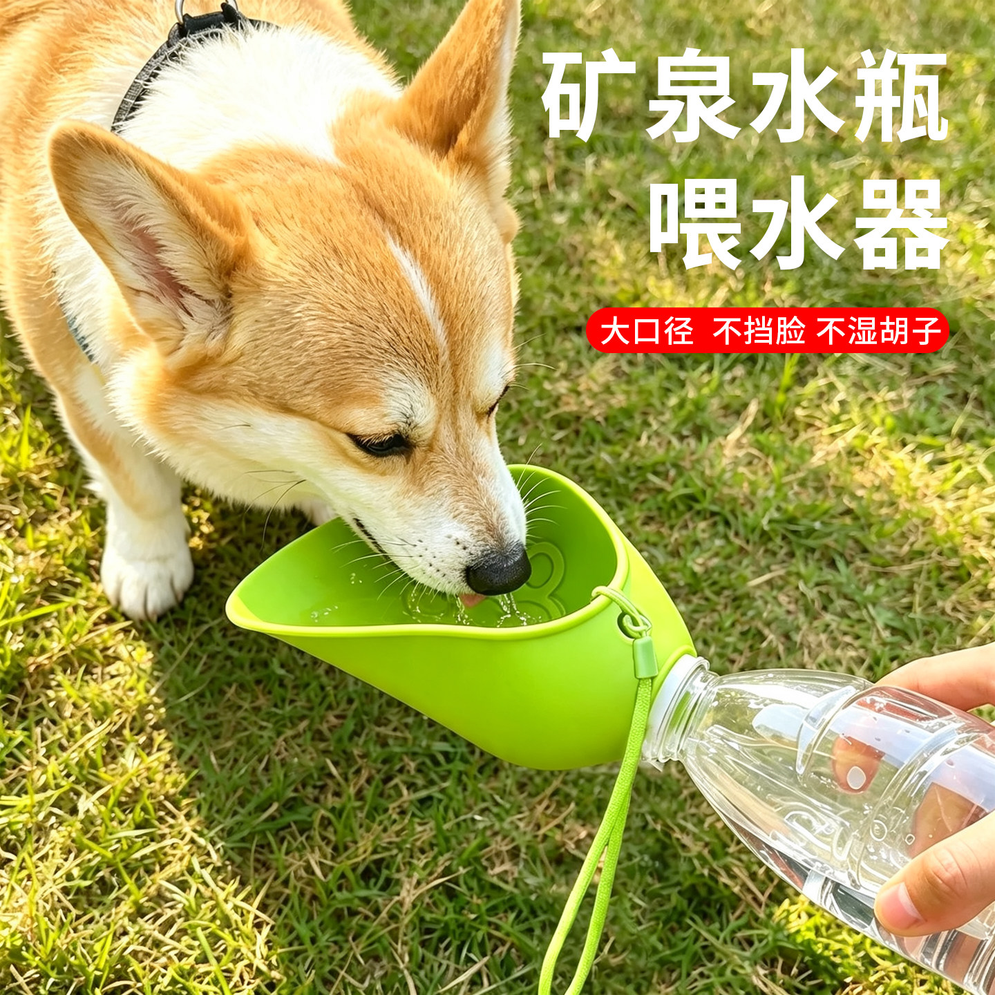 宠物狗随行杯折叠喝水神器便携式饮水器狗喂水器可换瓶遛户外喝水
