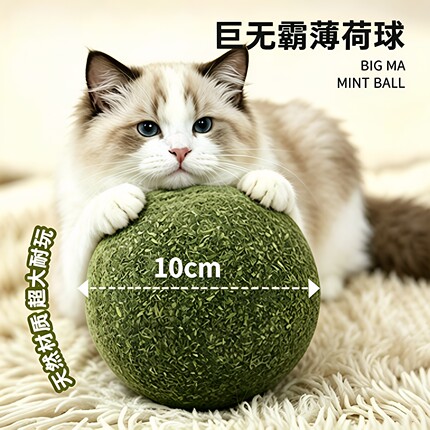 猫玩具超大猫薄荷球自娱趣味好物猫猫小猫逗猫棒宠物猫咪用品磨牙