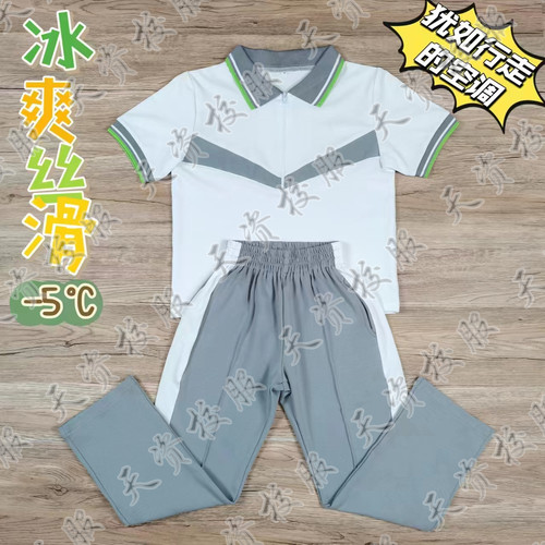 天资校服 潮州潮安庵埠灰色庵小文里维则郭陇小学生校服