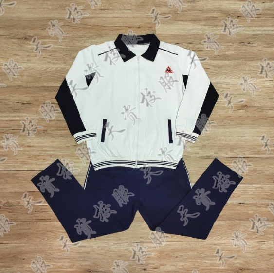 天资校服  广东潮州潮安彩塘金骊中学学生校服夏服秋冬装
