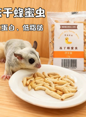 蜜袋鼯零食仓鼠金丝熊粮食