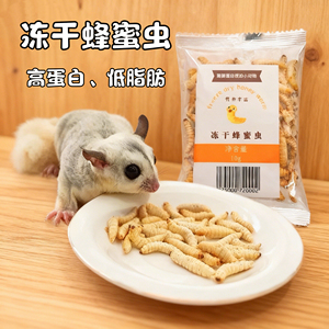 蜜袋鼯零食仓鼠金丝熊粮食