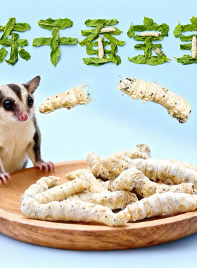 蜜袋鼯零食冻干蚕宝宝蜜袋鼯吃的虫子花枝鼠仓鼠零食高蛋白增肥