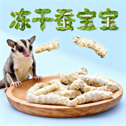 蜜袋鼯零食冻干蚕宝宝蜜袋鼯吃的虫子花枝鼠仓鼠零食高蛋白增肥