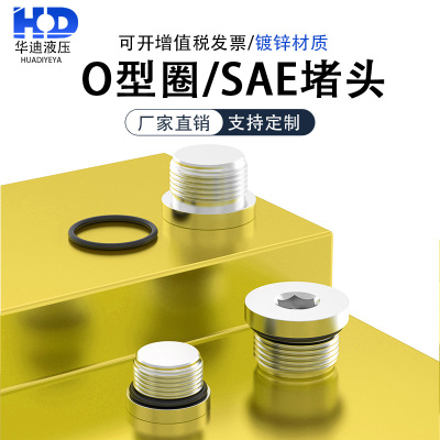 O型圈堵头/内六角密封镀锌堵头