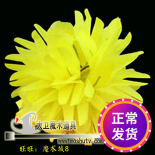 大卫魔术道具花球沈娟变花花球空手出花球闪现花球花类魔术花球