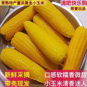 京东常熟特产现摘新鲜董浜俊建黄金小玉米带壳生玉米5斤农家种