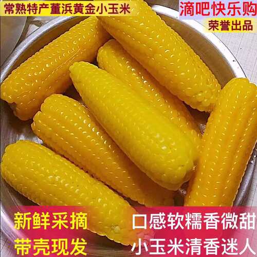 京东常熟特产现摘新鲜董浜俊建黄金小玉米带壳生玉米5斤农家种