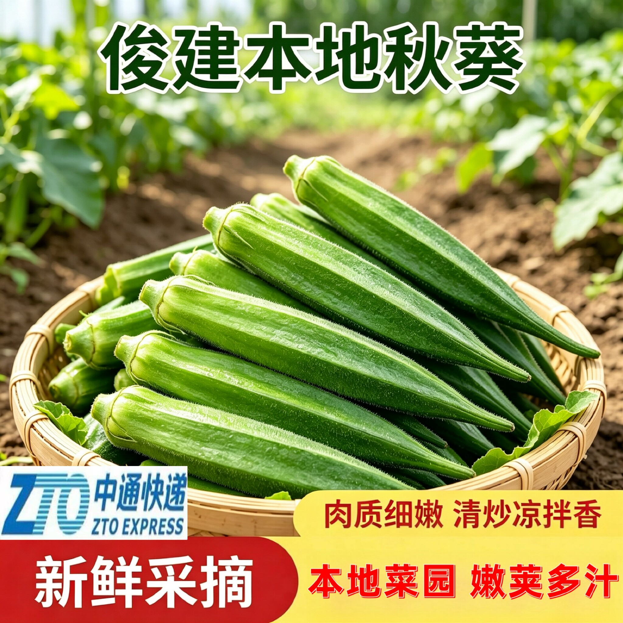 中通快递本地农家露天种植秋葵新鲜家常清炒凉拌蔬菜时令健康好吃