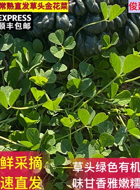 顺丰包邮 常熟草头金花菜董浜农家自种秧草苜蓿现摘大人小孩都爱