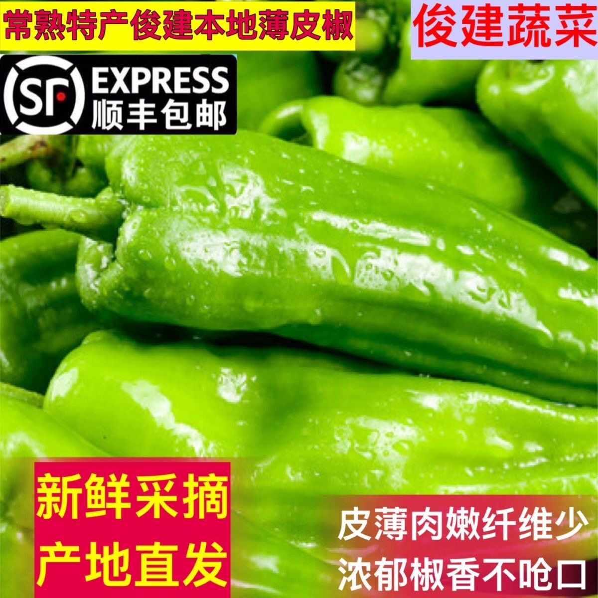 发顺丰新鲜俊建薄皮青椒农家自种虎皮青辣椒皮薄肉嫩时令蔬菜微辣