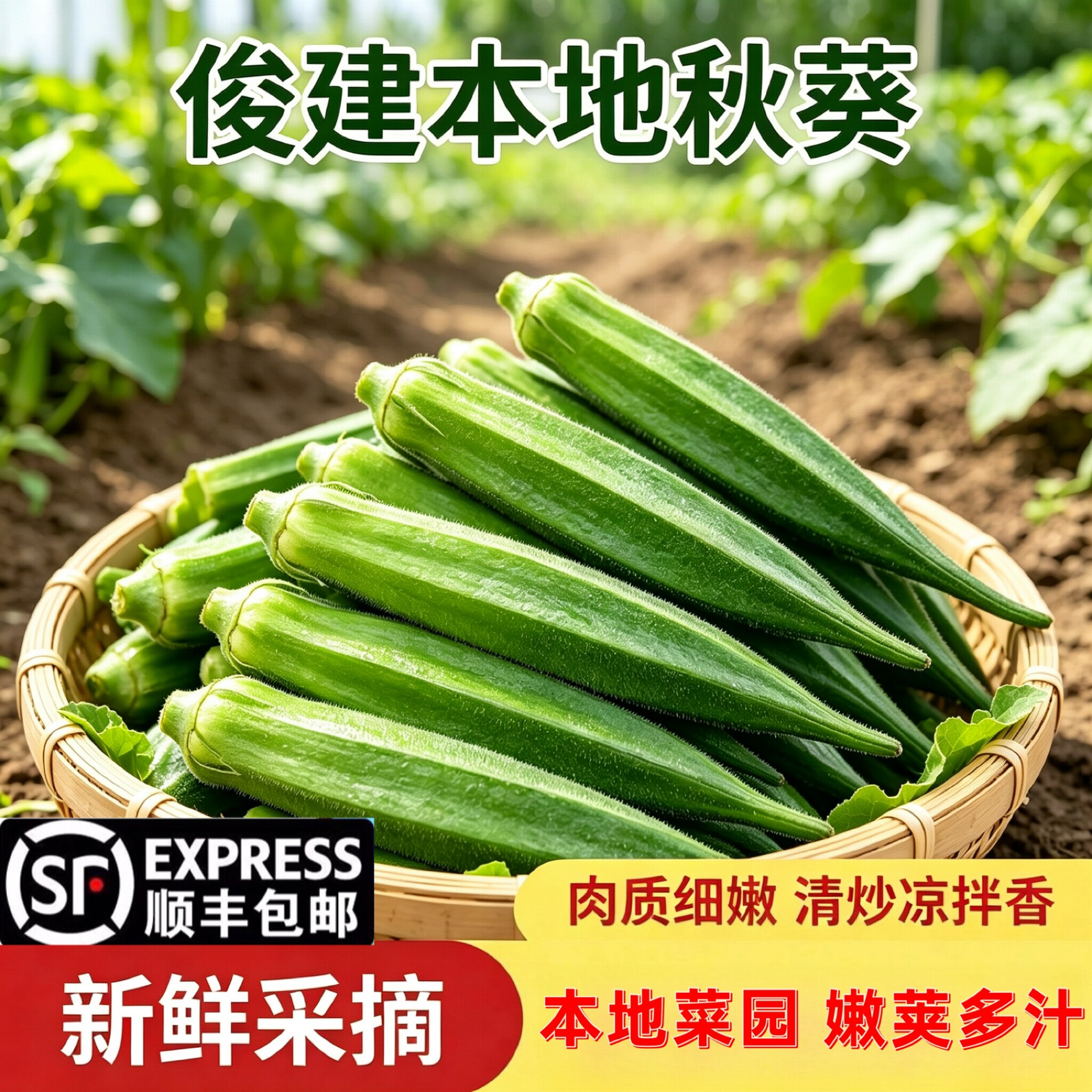 顺丰本地农家露天种植秋葵鲜嫩不空心老人小孩爱吃凉拌炖菜时令菜