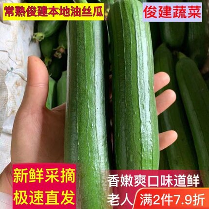发京东常熟俊建本地油丝瓜新鲜蔬菜笨丝瓜自然成熟现摘现发网红瓜