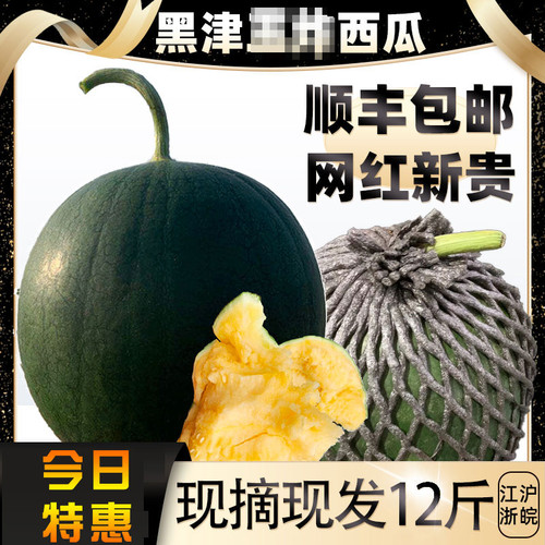 黑津西瓜东台冰淇淋黑晶西瓜黑金黑皮黄心瓤新鲜水果7斤12斤顺丰
