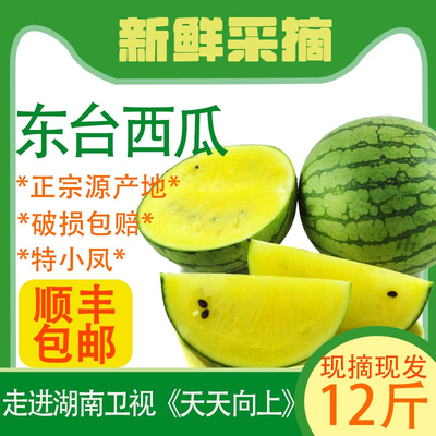 东台特小凤西瓜冰淇淋黄心瓤小兰水果新鲜时令爆炸瓜顺丰现摘12斤
