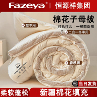 恒源祥集团彩羊100%新疆棉花子母被二合一拉链款四季通用被子冬被