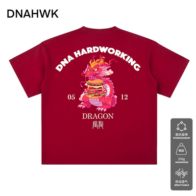 DNAHWK美式重磅男士短袖宽松T恤