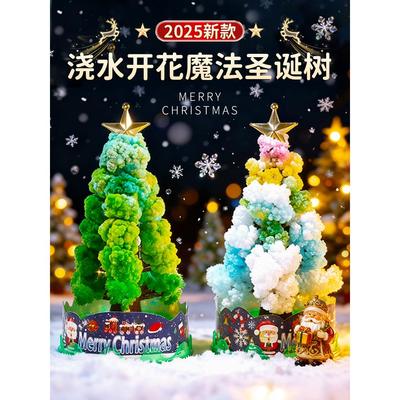 纸树开花魔法圣诞树diy材料包浇水开花树结晶2025新款儿童小礼物