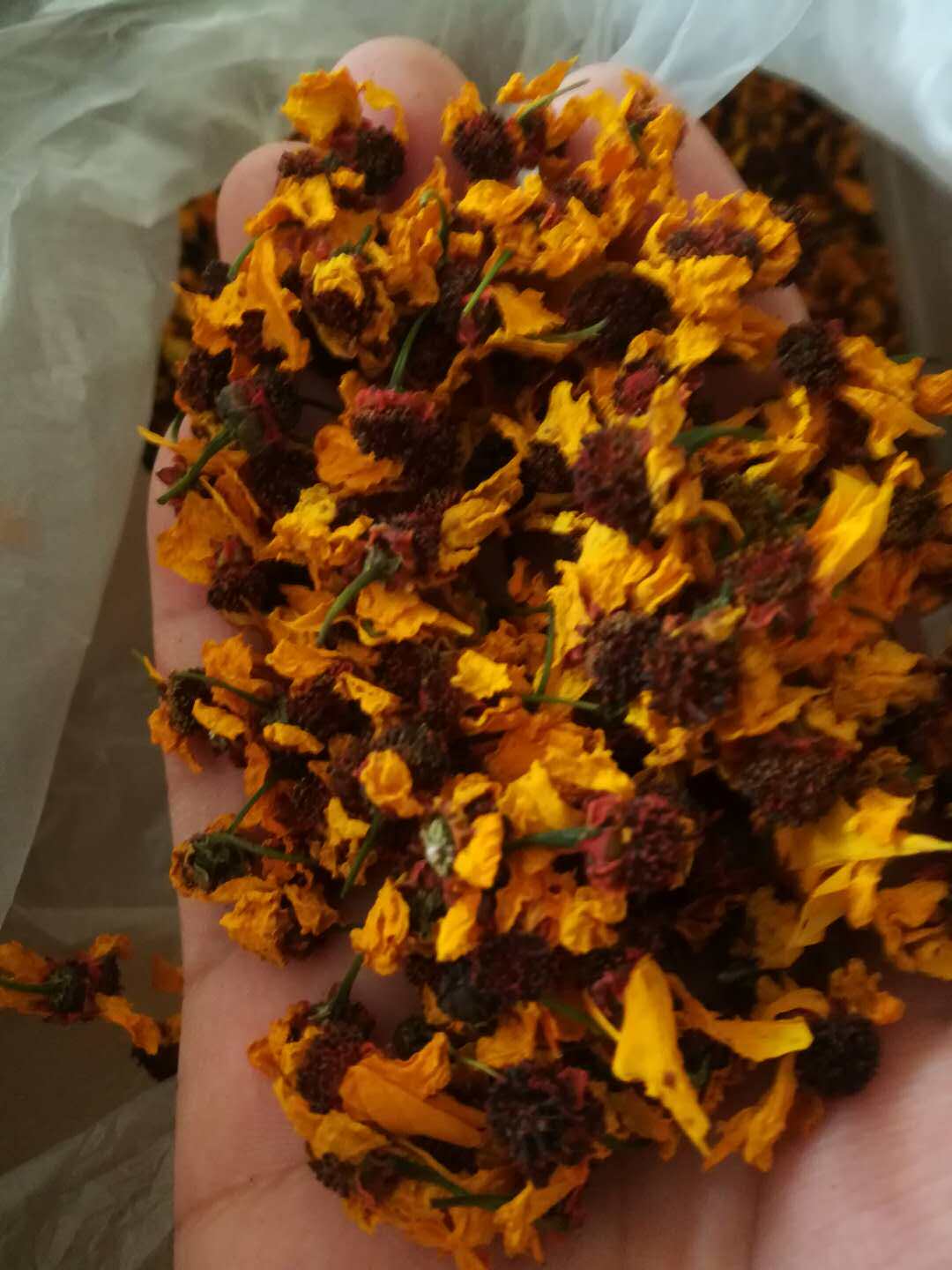 熬药专用，红菊昆仑雪菊花茶胎菊碎沫子茶叶沫500g胎菊正宗雪菊花