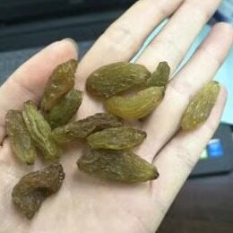 绿香妃王超大超长葡萄干女人新疆特产免洗无沙无核绿提子干500g