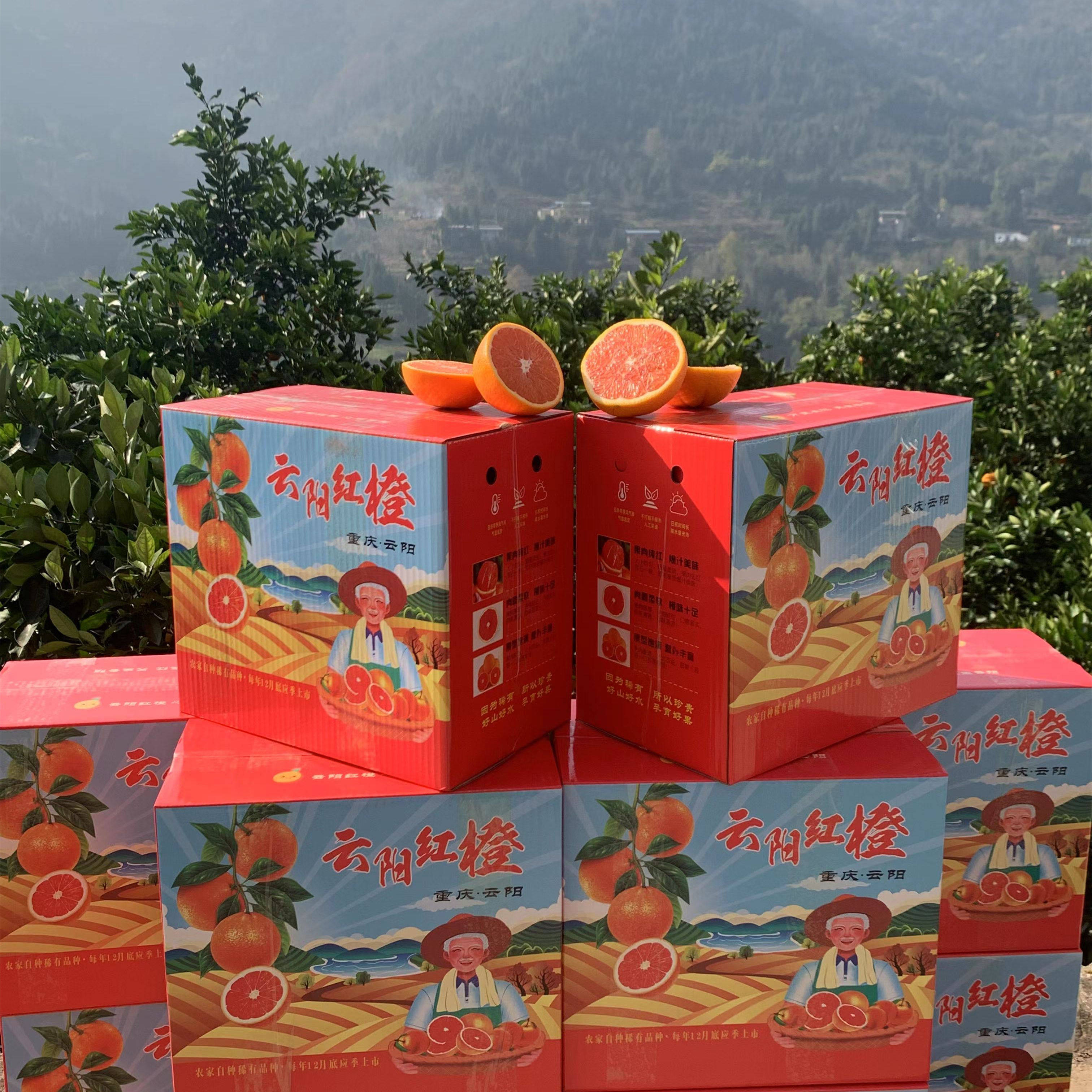 红橙10度10斤重庆血橙橙子礼盒