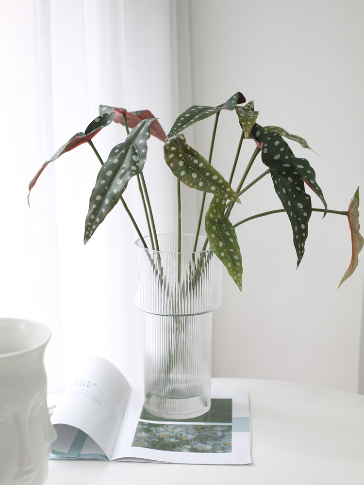 INS风仿真绿植鱼秋海棠家居