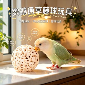 鹦鹉通草球磨牙益智玩具