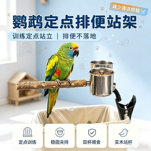 鹦鹉花椒木站杆站架垃圾桶定点排便拉屎夹子拉粑粑专用多功能创意