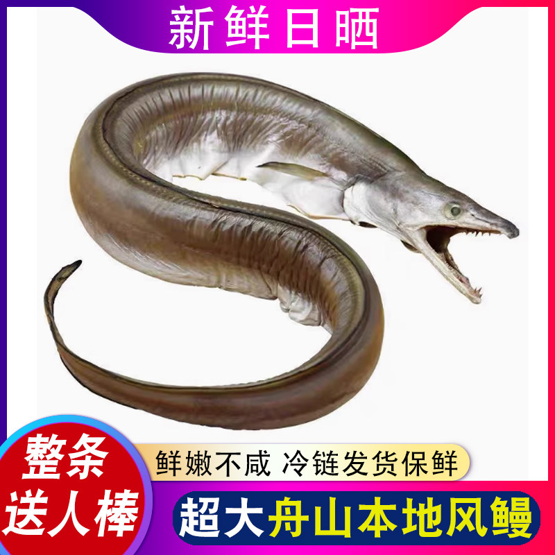 舟山特产风鳗筒整条海鳗鱼干东海