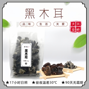 樟子松大兴安岭野生黑木耳干货朵厚实营养丰富天然菌菇官方旗舰店