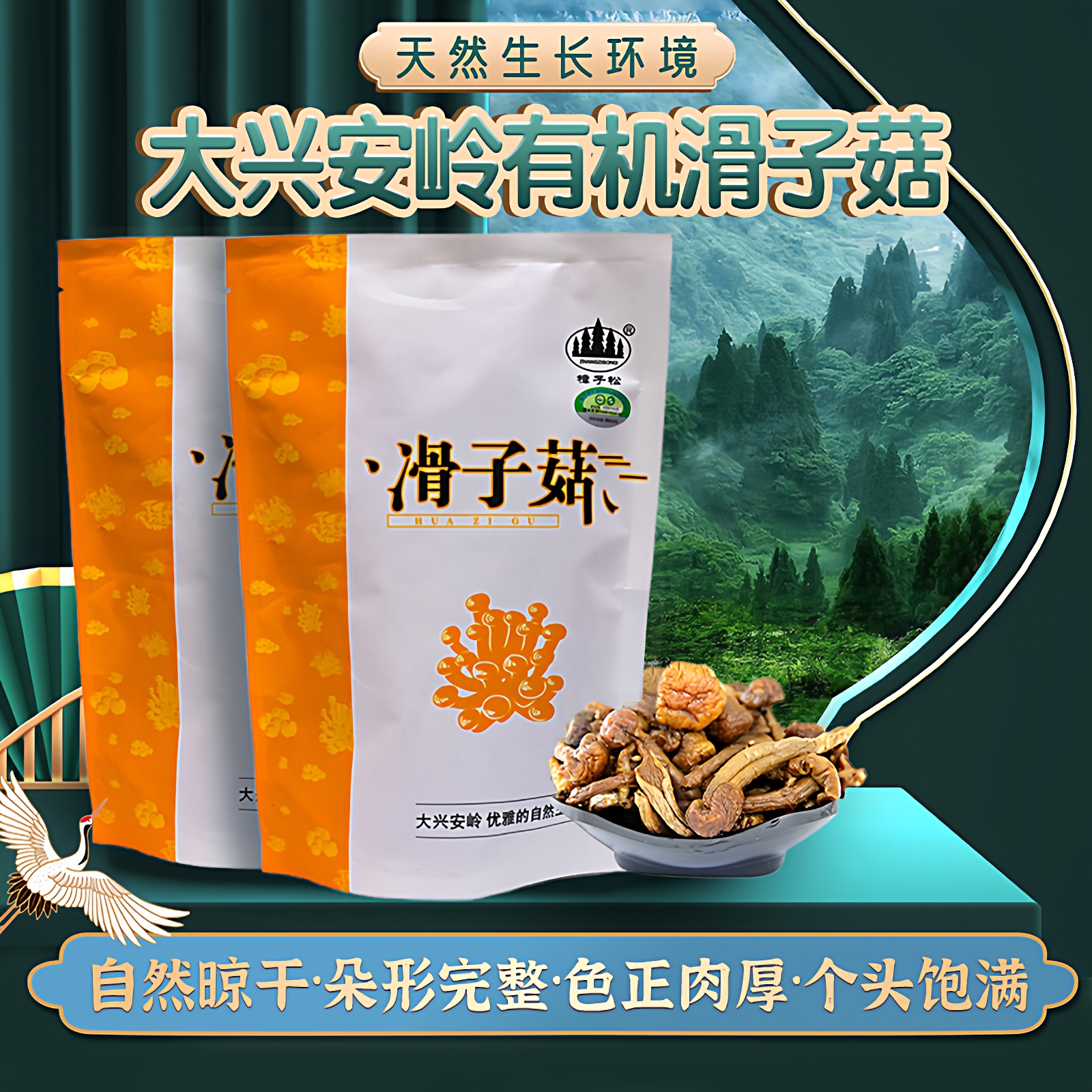 樟子松有机滑子菇菌蘑类东北小黄干货一山珍土特产级大兴安岭100g
