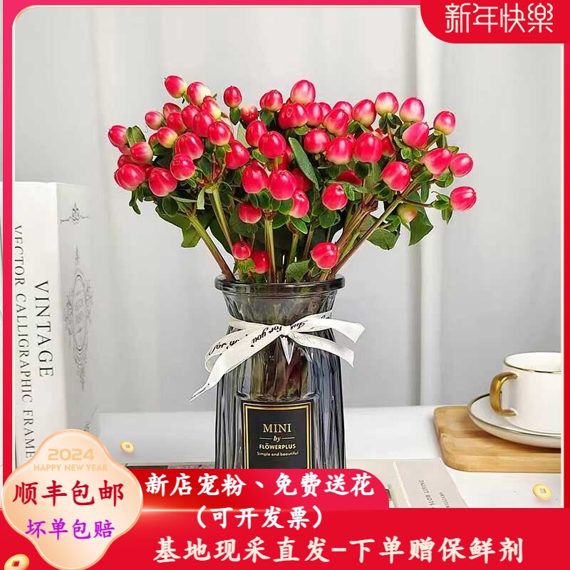 相思豆火龙珠红豆全色系鲜花家庭花束水培年宵花云南昆明基地直发