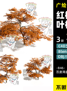 C4D红枫树鸡爪槭景观树blender红色树3D模型秋天树木植物FBX模型