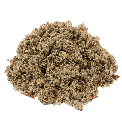 食味草精选茵陈500克 绵茵陈蒿茶白蒿 三月茵陈草新货