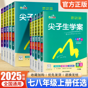 初中教材全解能力提升培优训练资料书 北师大华师沪科粤教版 2025新版 尖子生学案八年级九年级上册语文数学英语物理化学人教版