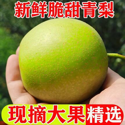 湖北翠冠梨花皮梨青皮梨子新鲜水果脆甜多汁当季整箱包邮产地直发