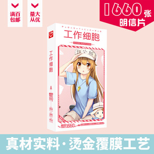 工作细胞明信片 盒装1660张 红细胞白细胞血小板周边动漫卡片贴纸