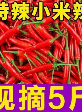 农家现摘新鲜5斤小米椒特辣红色辣椒朝天椒指天椒剁椒蔬菜椒泡椒