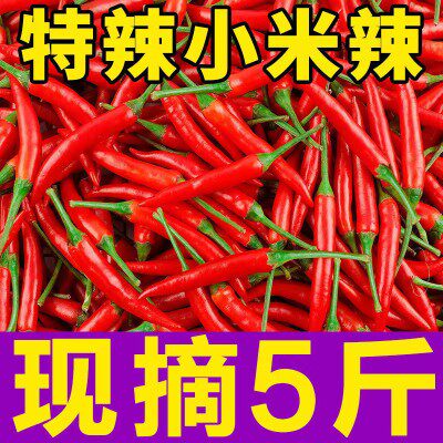 农家现摘新鲜5斤特辣红色小米椒